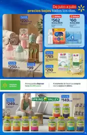 Catálogo Walmart Express Página 19