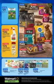 Catálogo Walmart Express Página 20