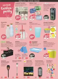 V Markt Prospekt woche 24 Seite 12