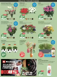 V Markt Prospekt woche 24 Seite 16