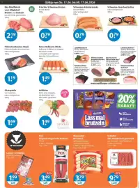 V Markt Prospekt woche 24 Seite 3