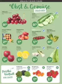 V Markt Prospekt woche 24 Seite 4