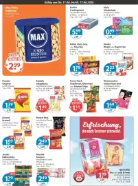 V Markt Prospekt woche 24 Seite 8