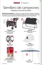 Catálogo Costco Página 42