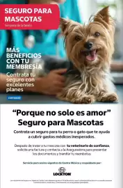 Catálogo Costco Página 88