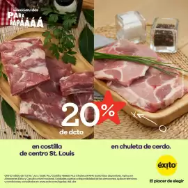 Catálogo Éxito Página 5