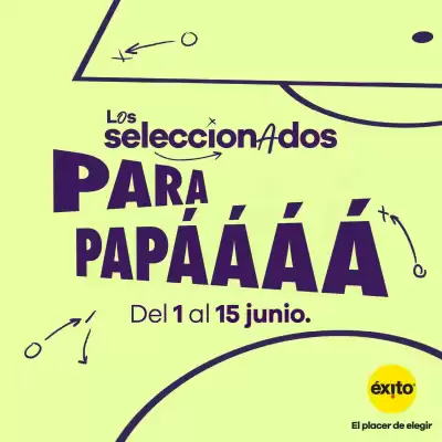 Éxito (válido hasta 15-06)