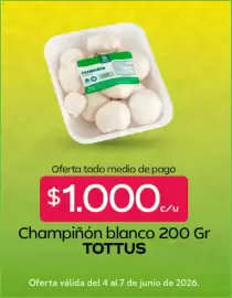 Catálogo Tottus Página 4