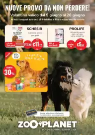 Volantino ZooPlanet Pagina 1