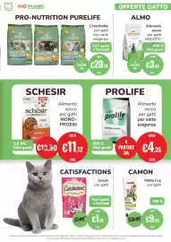 Volantino ZooPlanet Pagina 7