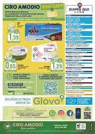 Volantino Ciro Amodio Pagina 12