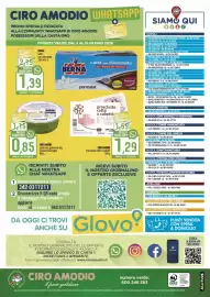 Volantino Ciro Amodio Pagina 12