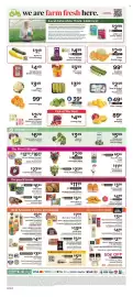 ShopRite flyer week 24 Page 10