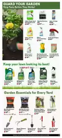 Sheridan Nurseries flyer week 23 Page 4