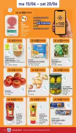 ALDI folder week 25 Pagina 10
