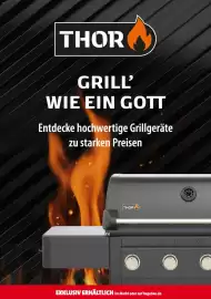 Hagebau Prospekt Seite 17