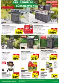 Hagebau Prospekt Seite 2