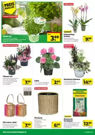 Hagebau Prospekt Seite 6