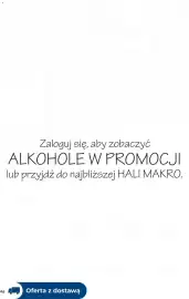 Makro gazetka Strona 46
