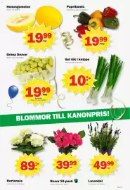 Pekås reklamblad vecka 24 Sida 11