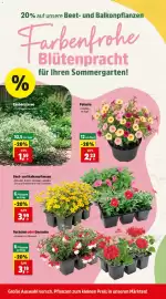 Thomas Philipps Prospekt woche 24 Seite 6