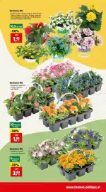 Thomas Philipps Prospekt woche 24 Seite 7