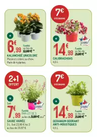 Catalogue Botanic page 3