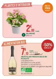 Catalogue Botanic page 7