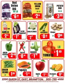 Singh Bazaar flyer week 23 Page 4