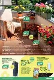 Bellaflora Flugblatt Seite 3