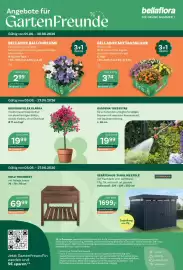 Bellaflora Flugblatt Seite 8