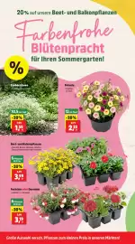 Thomas Philipps Prospekt woche 24 Seite 6