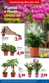 Folheto Lidl semana 24 Página 31