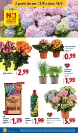 Folheto Lidl semana 24 Página 32