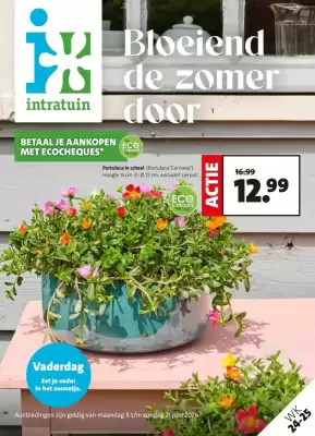 Intratuin (geldig t/m 21-06)