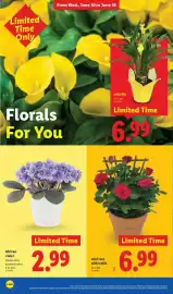 Lidl weekly ad week 24 Page 36