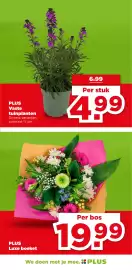 PLUS folder week 24 Pagina 45