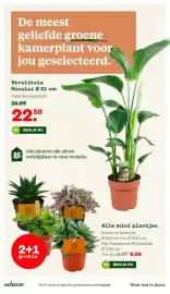 Welkoop folder Pagina 20