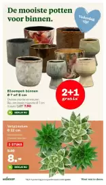 Welkoop folder Pagina 21