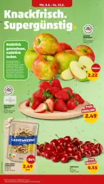 PENNY Prospekt woche 24 Seite 2