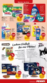 PENNY Prospekt woche 24 Seite 25
