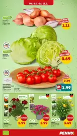 PENNY Prospekt woche 24 Seite 3