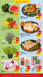 PENNY Prospekt woche 24 Seite 34