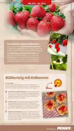 PENNY Prospekt woche 24 Seite 7