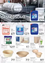 Selgros Prospekt woche 24 Seite 17