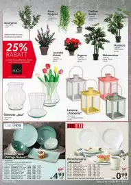 Selgros Prospekt woche 24 Seite 7