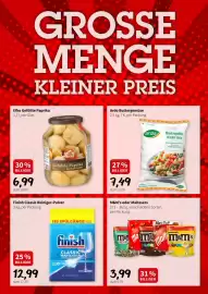Der Grissemann Flugblatt Seite 9