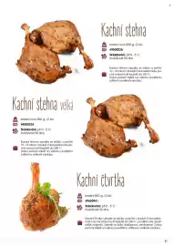 Jip leták Strana 21