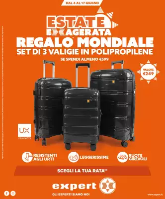 Domex Expert (valido fino al 17-06)