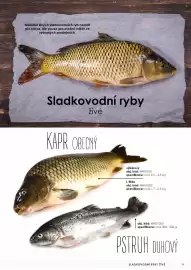 Jip leták Strana 10